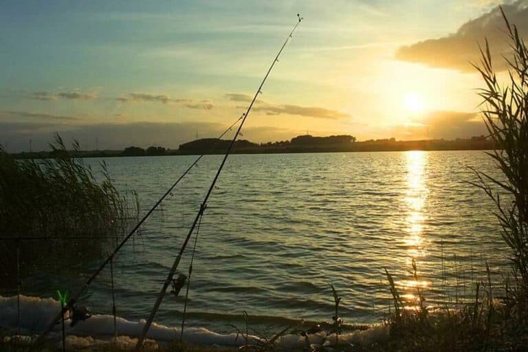 Mehr über den Artikel erfahren Wie viele Angeln sind in MV erlaubt?