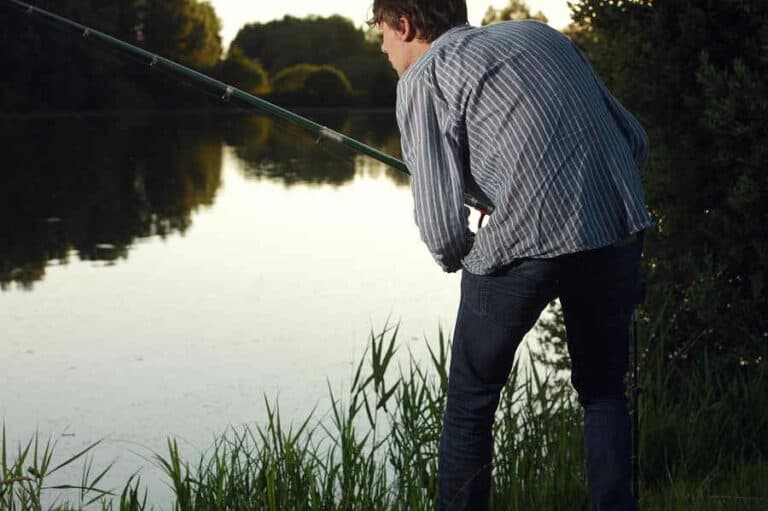 Mehr über den Artikel erfahren Wie kann man am besten Zander angeln?