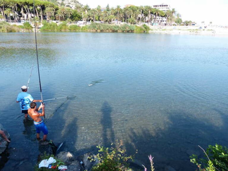 Mehr über den Artikel erfahren Wann darf man Zander angeln?