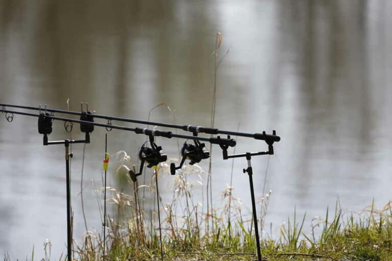 Mehr über den Artikel erfahren Die optimale Zeit für das Hechtangeln