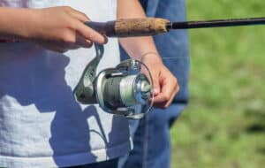 Mehr über den Artikel erfahren Effektives Feederfischen: Tipps und Tricks