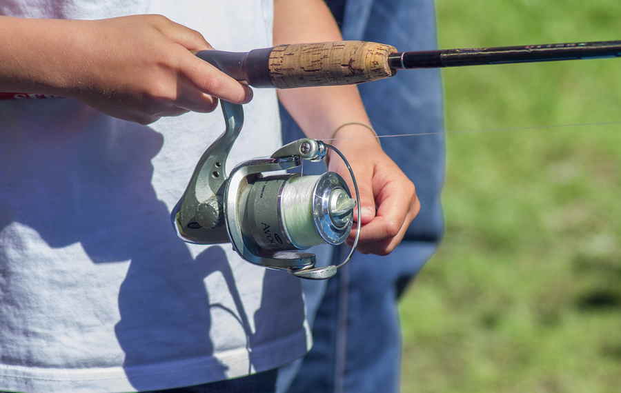 Du betrachtest gerade Effektives Feederfischen: Tipps und Tricks