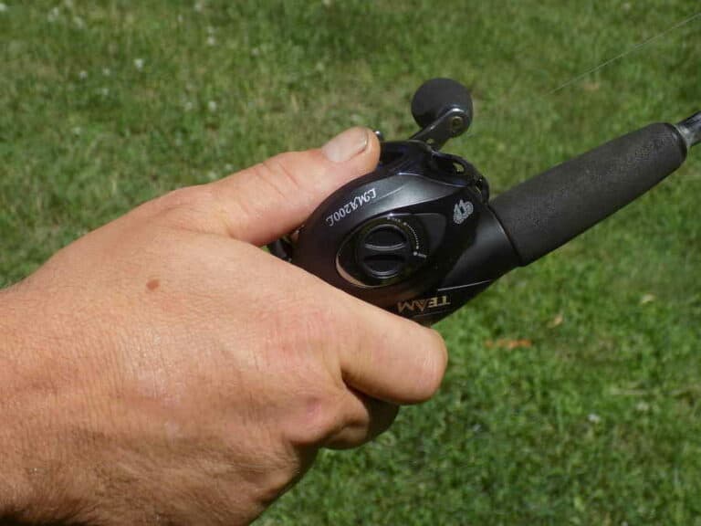 Mehr über den Artikel erfahren Die optimale Zeit zum Zanderangeln