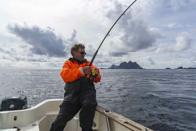 Mehr über den Artikel erfahren Die optimale Zeit für das Angeln von Aalen