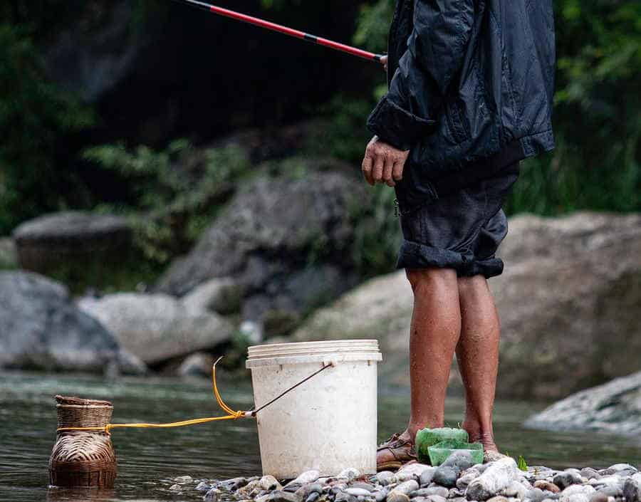 Du betrachtest gerade Angeln auf Wurm: Tipps und Tricks