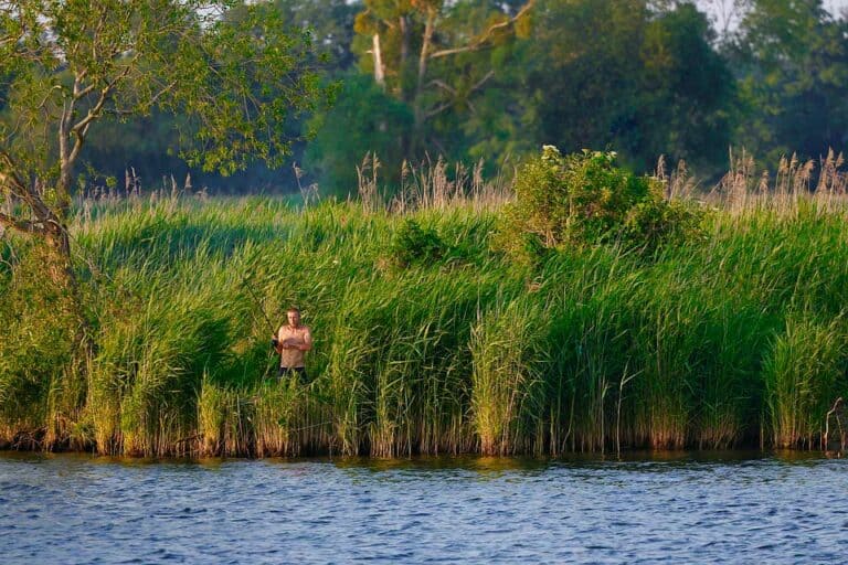 Mehr über den Artikel erfahren Wo darf ich an der Sieg angeln?