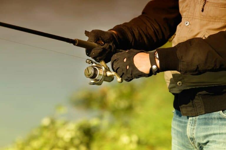 Mehr über den Artikel erfahren Welche Handschuhe zum Angeln?