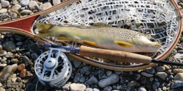 Forelle (depositphotos.com)