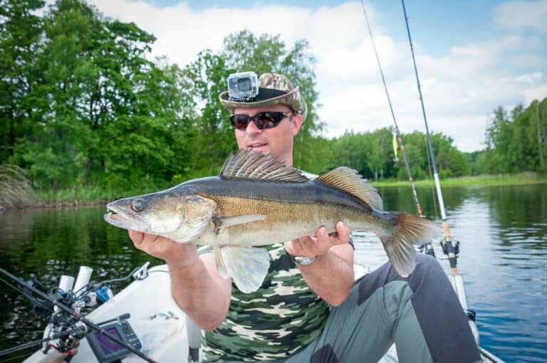 Mehr über den Artikel erfahren Welche Kamera zum Angeln?