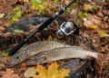 Hechtrute für Hechtangeln (depositphotos.com)