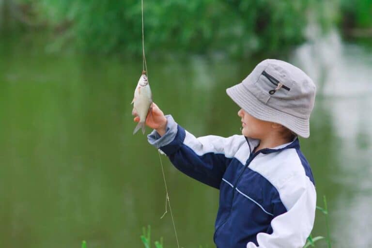 Mehr über den Artikel erfahren Catch and Release: Was bedeutet das und wie wird es praktiziert?