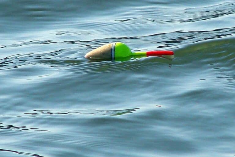 Mehr über den Artikel erfahren Welche Pose für welchen Fisch?