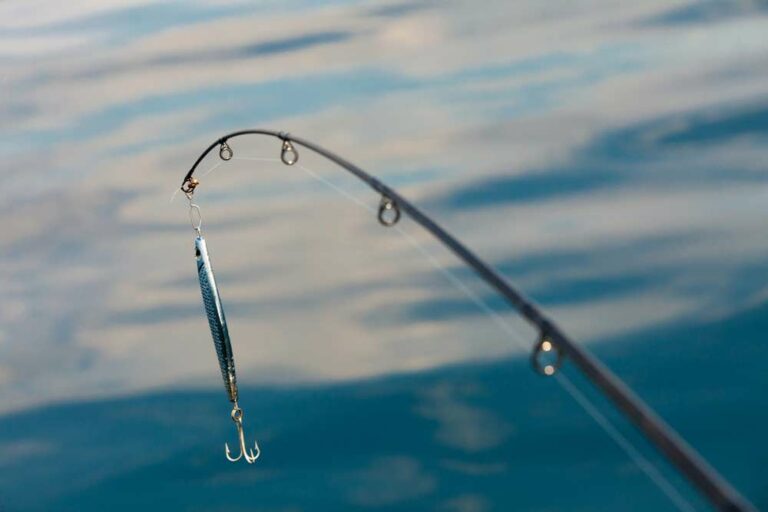 Mehr über den Artikel erfahren Welche Rute zum Wobbler Angeln?
