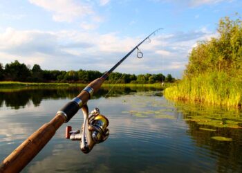 Spinnangeln (depositphotos.com)