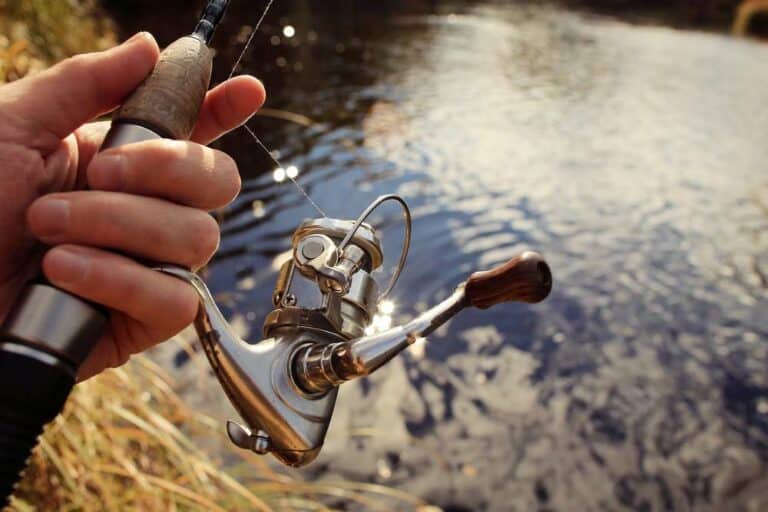 Mehr über den Artikel erfahren Welche Rolle zum Spoon angeln?