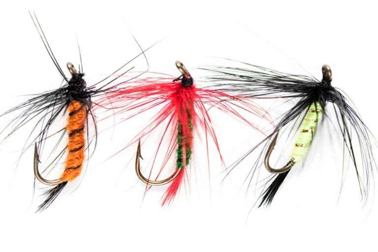 Mehr über den Artikel erfahren Was ist ein Streamer beim Angeln?