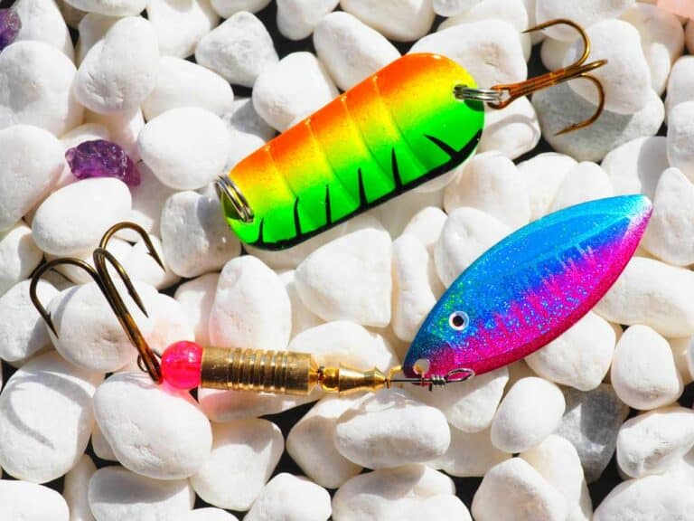 Mehr über den Artikel erfahren Wann UV Köder beim Angeln?