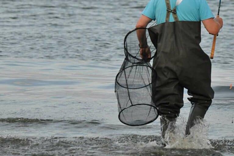Mehr über den Artikel erfahren Welche Wathose zum Angeln?