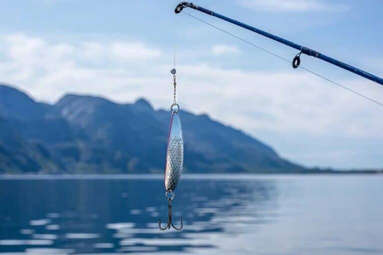 Mehr über den Artikel erfahren Angelhaken – Welche Hakengröße