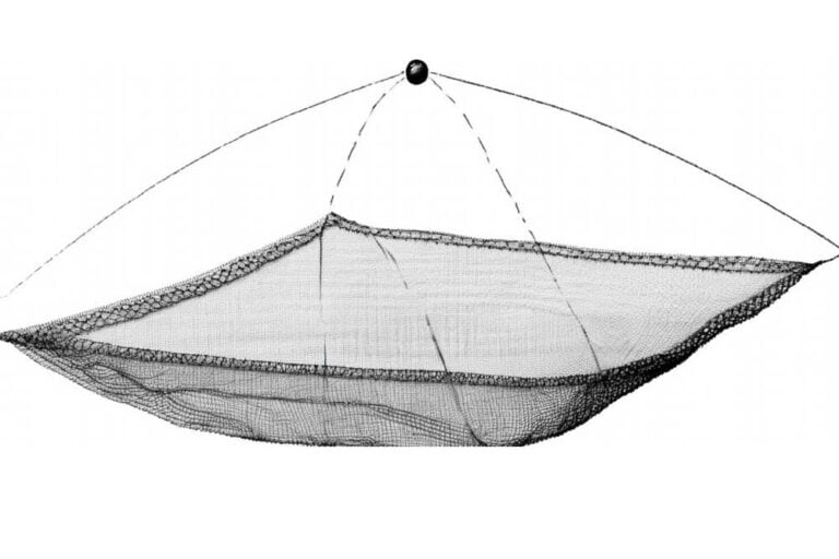 Mehr über den Artikel erfahren Köderfisch-Senke