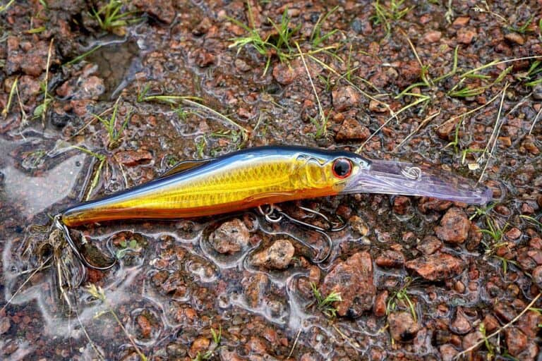 Mehr über den Artikel erfahren Wobbler zum Angeln