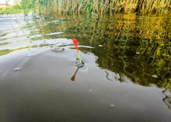 Stippangeln (depositphotos.com)