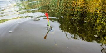 Stippangeln (depositphotos.com)