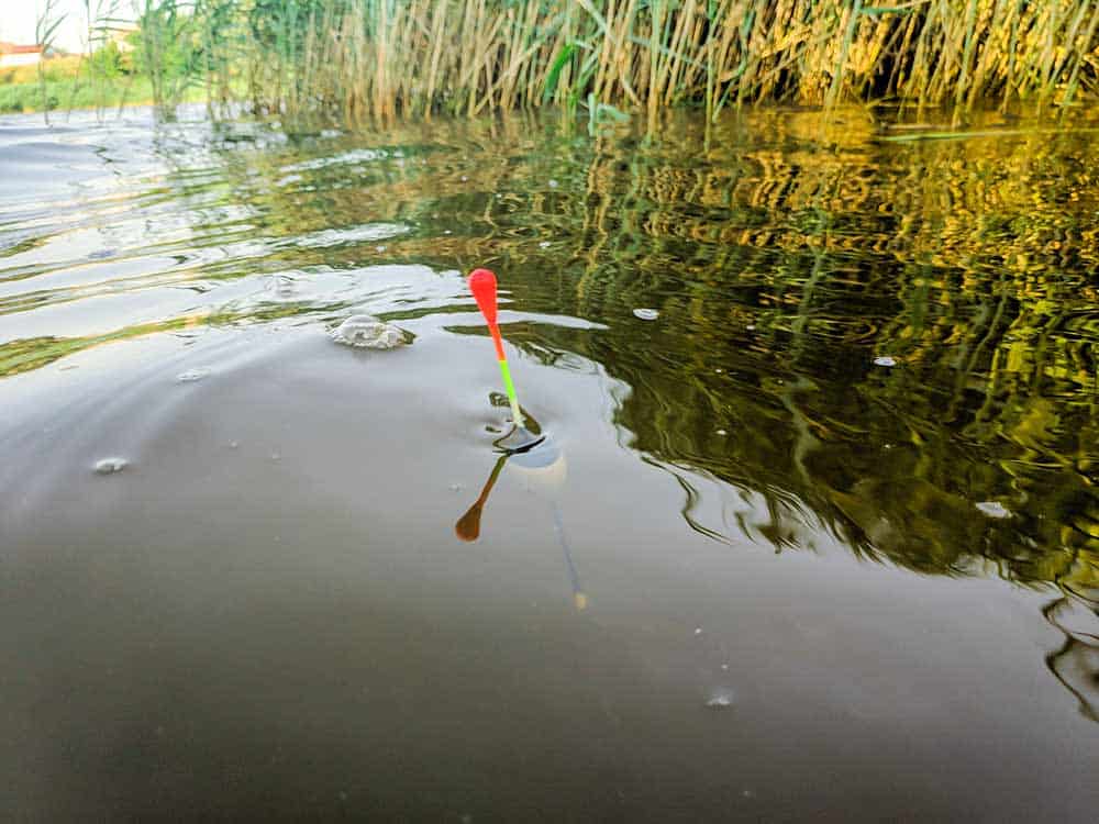 Du betrachtest gerade Was bedeutet Stippen beim Angeln – Stippangeln?